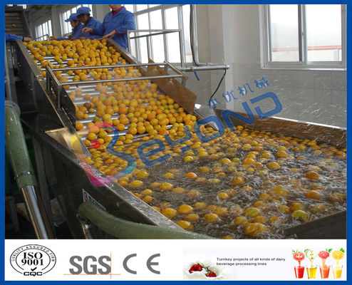 Stepless-Schiebeobst und gemüse -, die Gerät-, Obst- und GemüseWaschmaschinen-Maschine verarbeiten