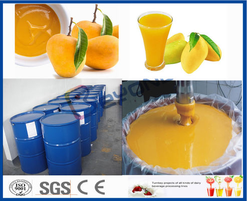 Frucht-Prozessor-Maschinen-Mango-Produktlinie für Saftverarbeitungs-Anlage