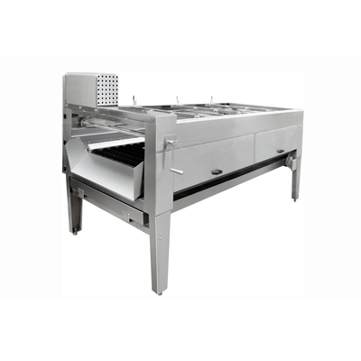 Automatische frische Ingwer-/Gelbwurz-Reiniger-Edelstahl-Frucht-Waschmaschine