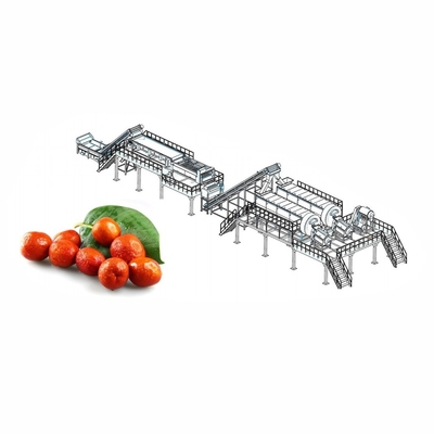 Industrielle Granatapfelsaft-Produktionslinie 2 - 50T/H Ausrüstung zur Herstellung von Granatapfelsaft